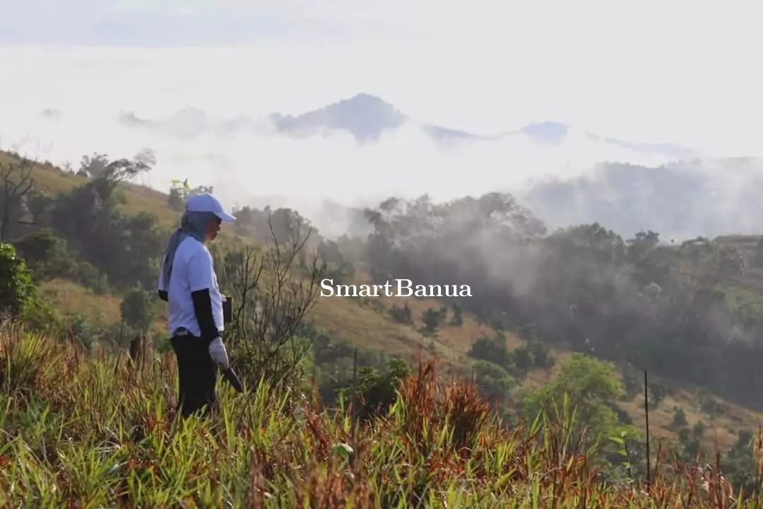 Awali 2025 Dishut Tanam 2000 Eucalyptus di Tahura Sultan Adam