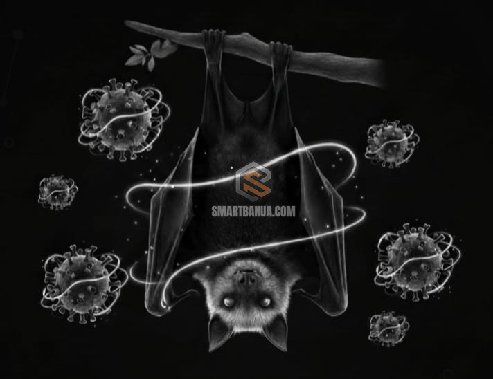 Kalsel Tingkatkan Kewaspadaan Virus Nipah