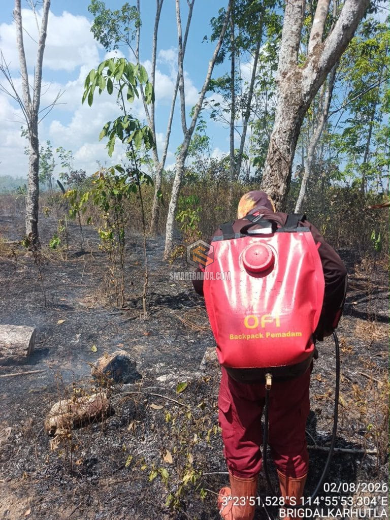 Brigade Pengendalian Karhutla Dishut Kalsel Ikut Jinakkan Api 